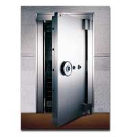 Бронированная дверь SHINJIN 8801/900